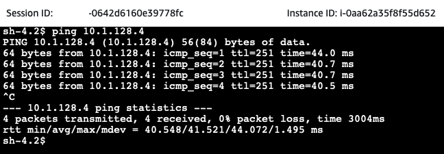 Server Server Ping