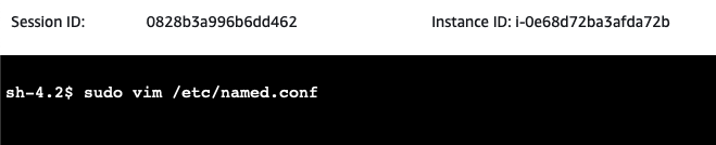 DNS VIM